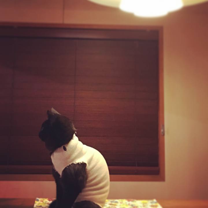 95f1bb02 93f5 4337 9630 38e2dd2f4856