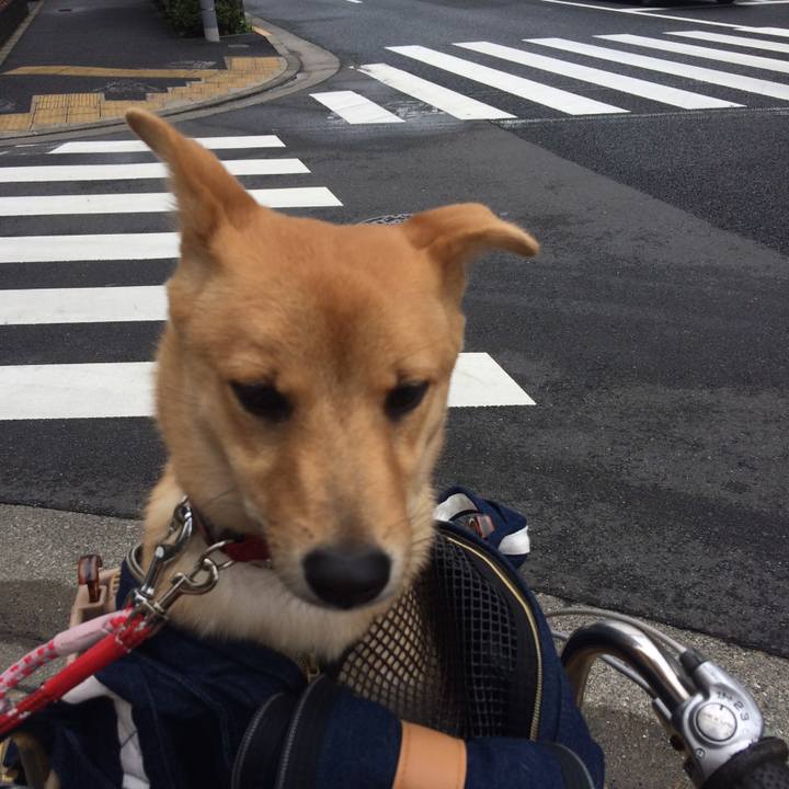 95f33d48 1b77 4e9d 89d0 a53a60944c2b