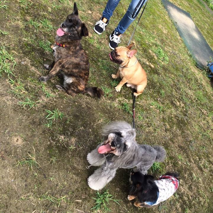 95f363fd 5093 42ad 9435 3c106709aeb5