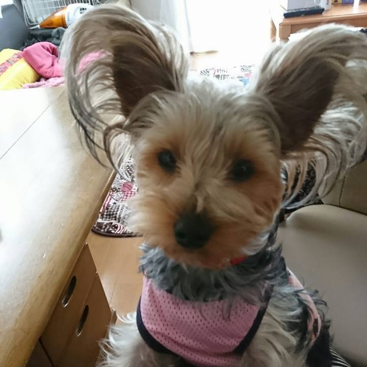 95f37f78 6218 4e4e 966c a8dbeb41a529