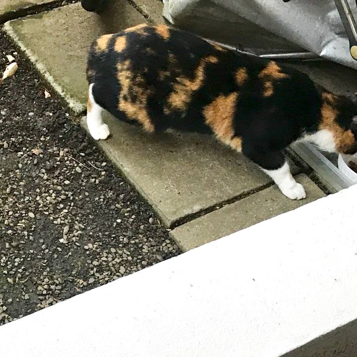 95f401c2 8377 4dac 988e f174c26bc455