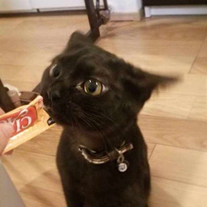 95f483bf ed70 4e40 9e3b 1a76b5ba2e97