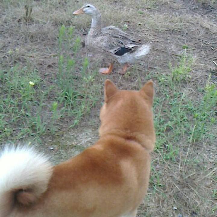 95f5299d 4e16 485c 82dd 766242c701b2