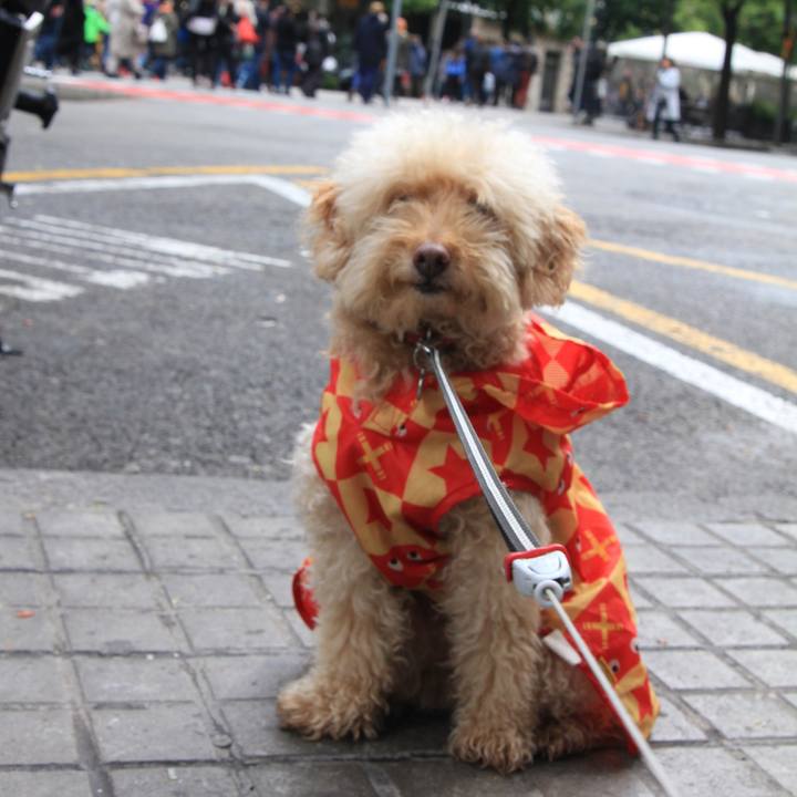 95f5dbbb ecf2 4152 8f91 d1f0460366c9