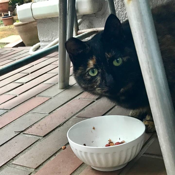 95f6334f 1dbd 4692 90e0 75597959914e