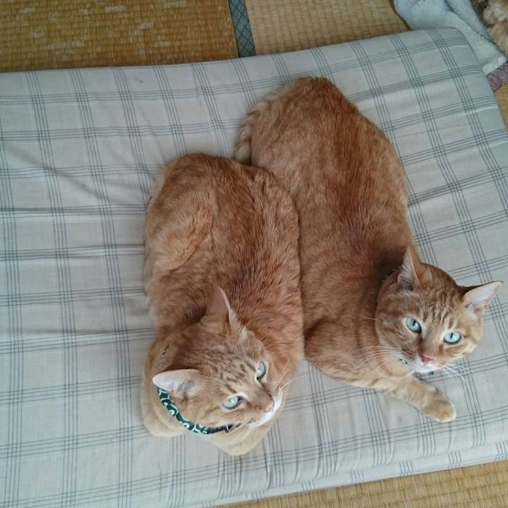 95f6d399 610f 4461 b871 72d6b0bf476c