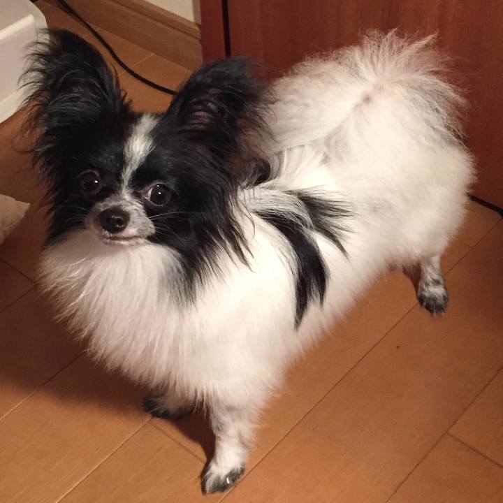 95f6d7df b2ef 4283 a6f8 3a0064230470