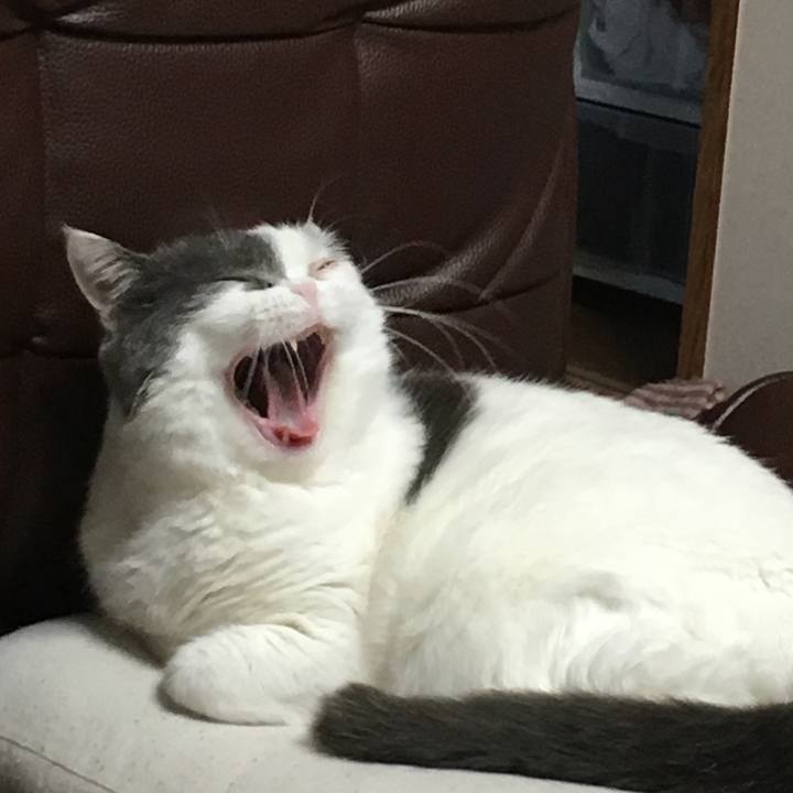 95f757f4 cd3b 4e21 8f6d 57a7a3c03a32