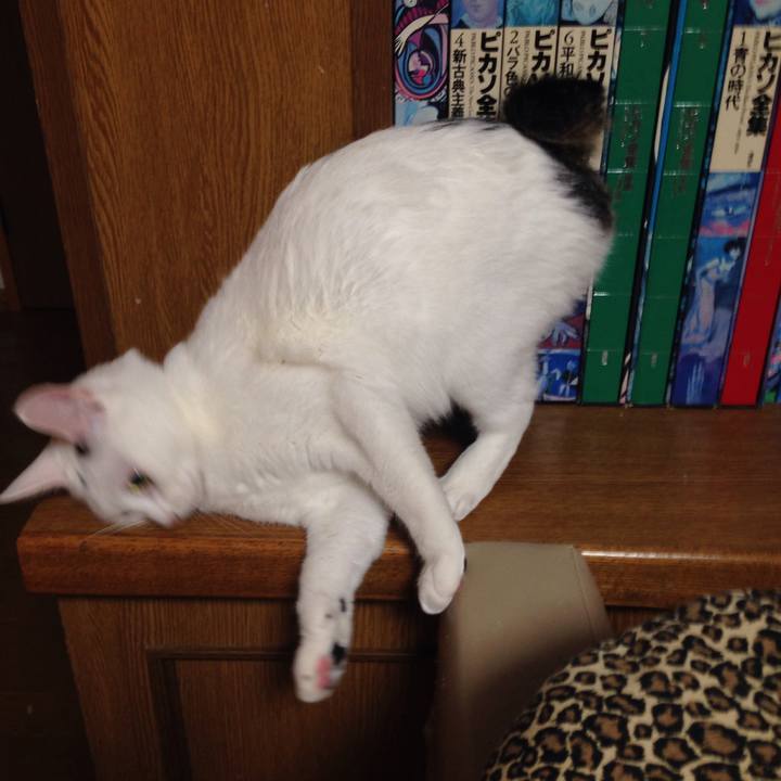 95f763cd adf7 4623 9540 a7a283e03fe0