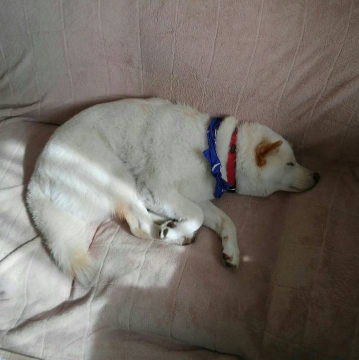 95f786f7 d8b8 426f b5a7 07633cca3bcd