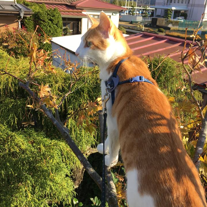 95f8879a 87dc 4b87 8caf 13c8de4e49ee