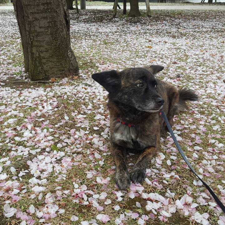 95f8c0ff 317c 4b78 b6c6 e9e099b40d83