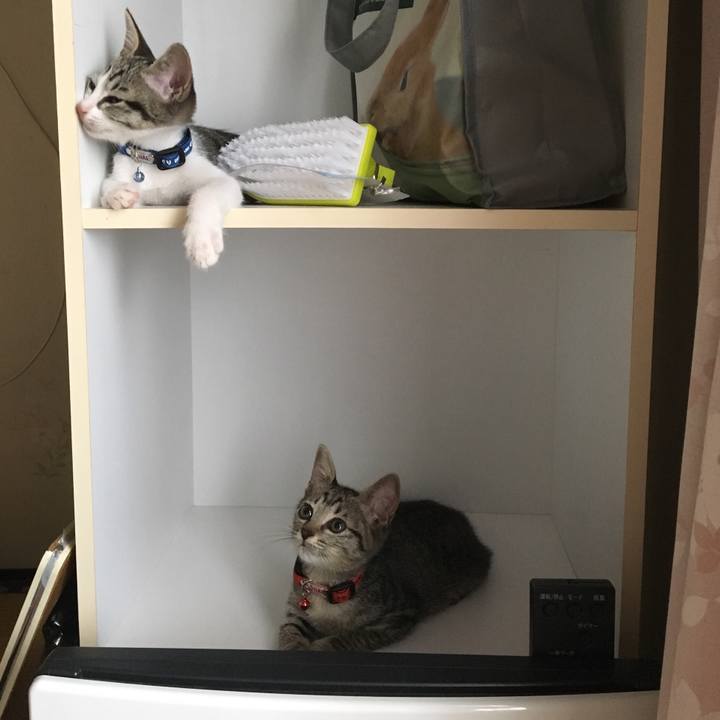 95f8f58f efba 4e48 9a3e d43090eb6937