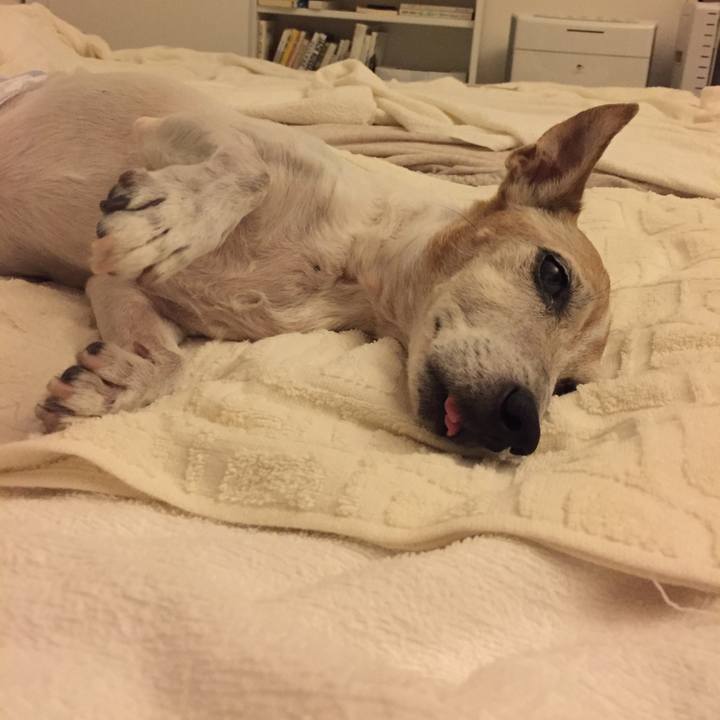 95f91d34 c9d0 4ded ac3f 11025e247835