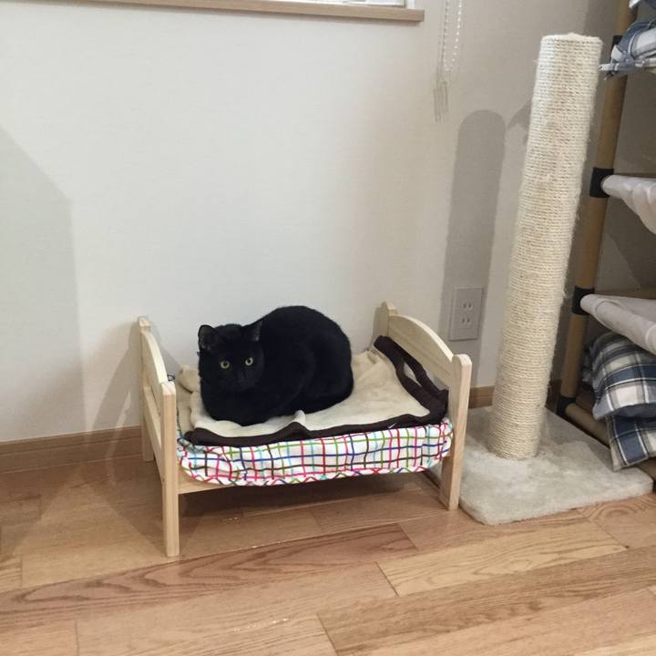 95f9d119 5ea5 4392 813e 528ea19a3310