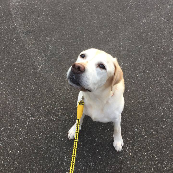 95fa4e71 a611 42b3 9e6a 6d47ef9fb89b