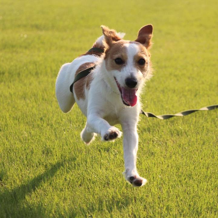 95fa5ede efcc 4719 8117 69f31881bb08