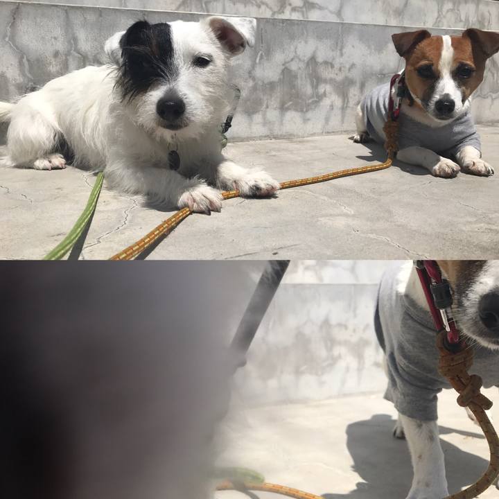 95fbcd75 7103 4a7c 90a6 035a430c4be9