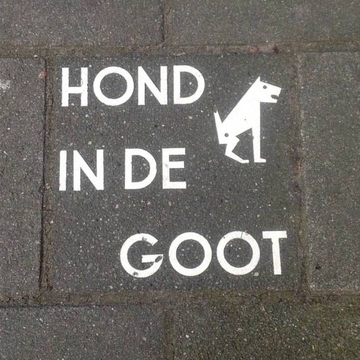 95fbec24 474d 4264 8444 6da471ab9433