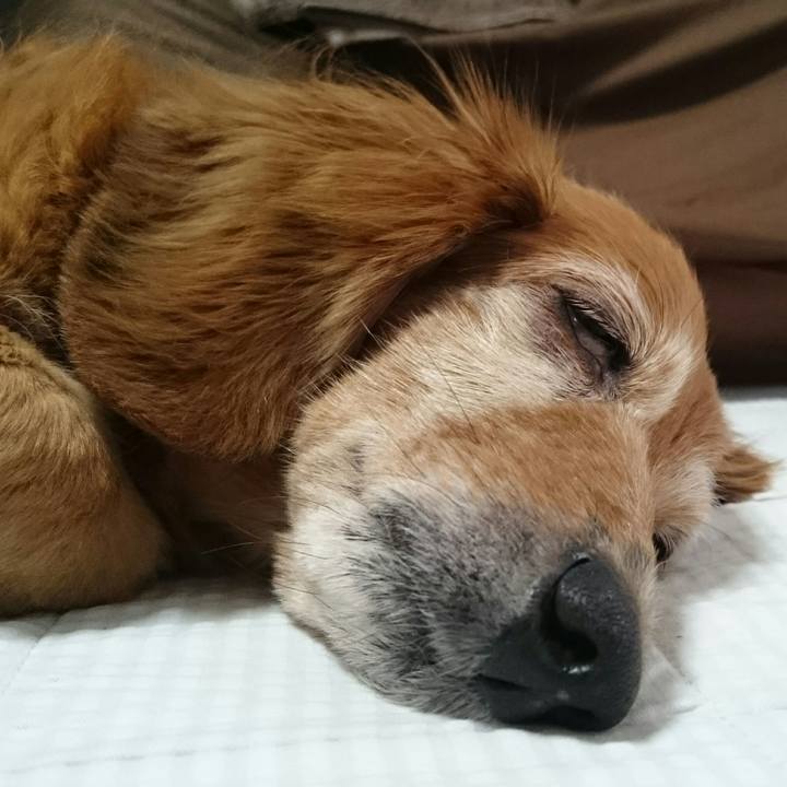 95fc8d04 b7b2 4d90 bd52 3dab2d22220b