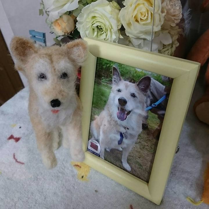 95fcea7e db20 4934 a013 c9f23d8ae68c