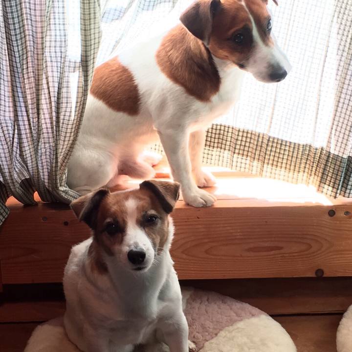 95fd1979 3fa8 4983 a3f9 23bf715825bd