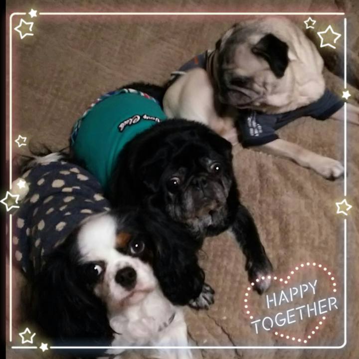 95fd34ef 4c0e 40da 8cdb 92fad1982407