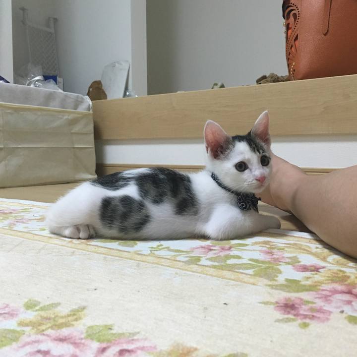 95fd9cb0 0685 424d 8785 0e206b0ea764