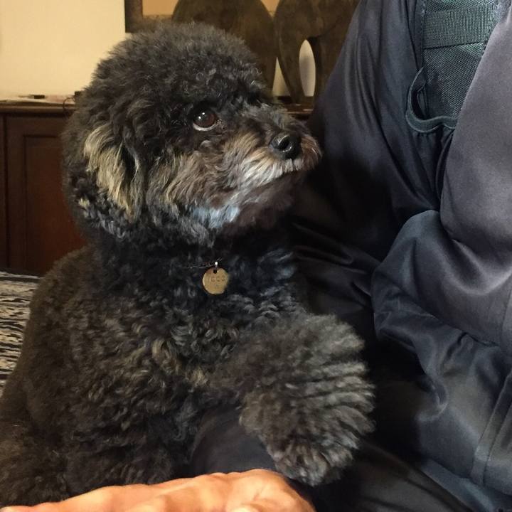 95fde73f 7acb 4793 93fa ea22a8103c4b