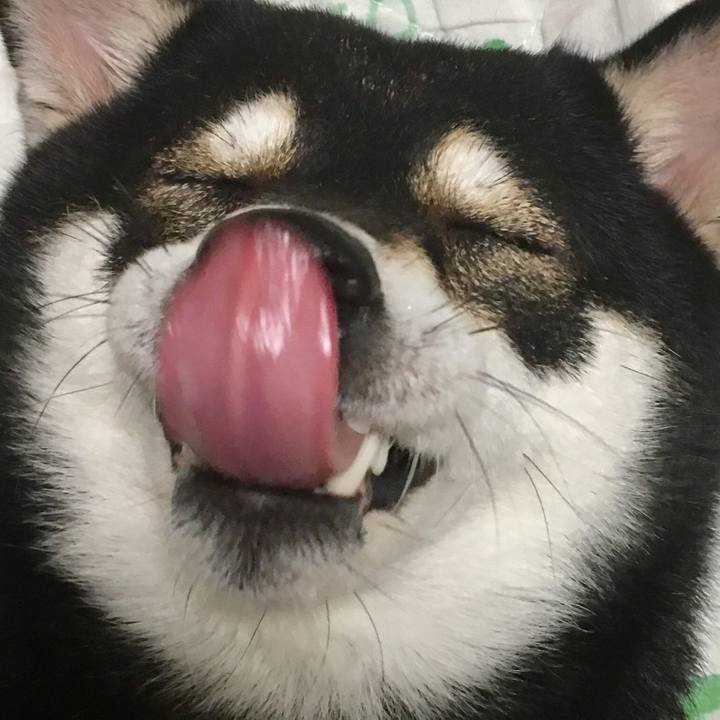 95fe523e 2e7a 4fab 8fa8 5e44bb159b3b