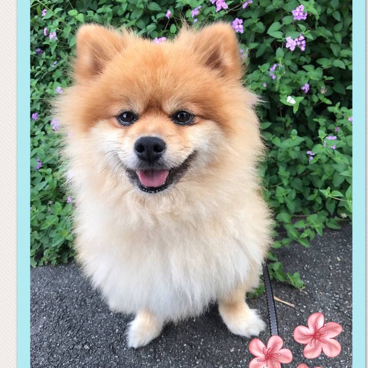 9600b59f a371 4c2e 8669 067b4e4b36bb