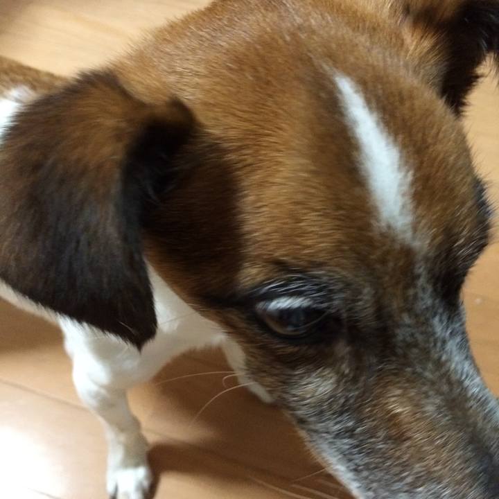 9601502f eb2b 4adc bf39 d1e9849b7321