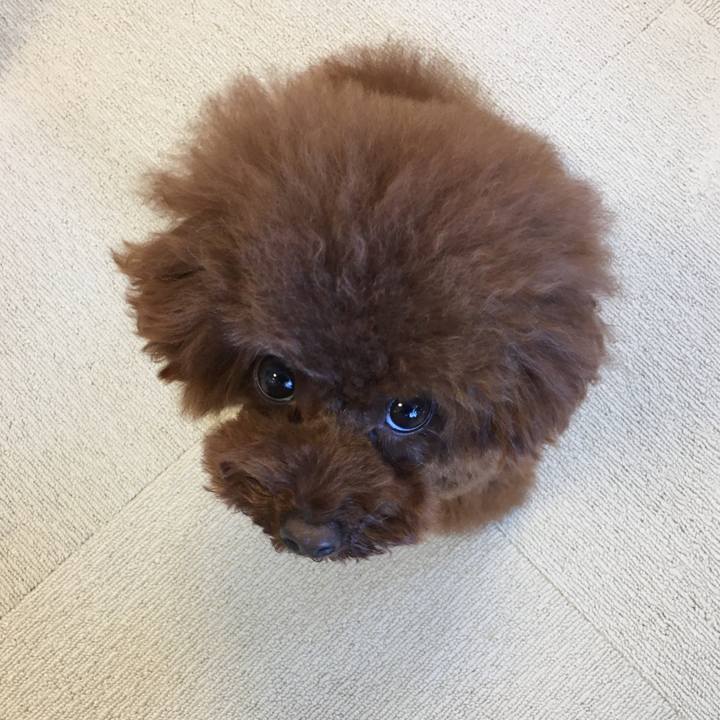 96028625 8754 4d0f a1c7 a5d9f37b6bd9