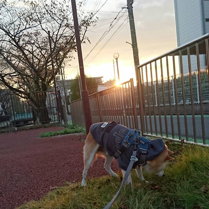 9602a05e f8a7 40cd a166 05fb83283197