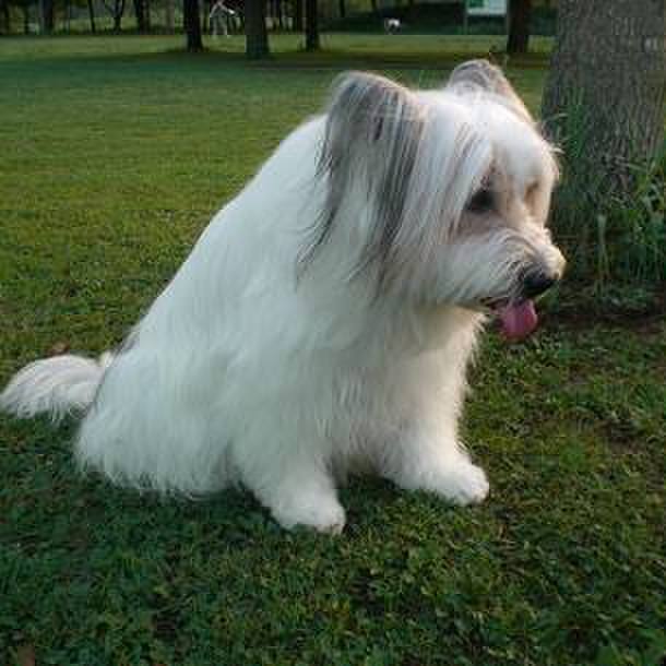 9602efe8 2cac 49d8 8cdd 7996f50d4466