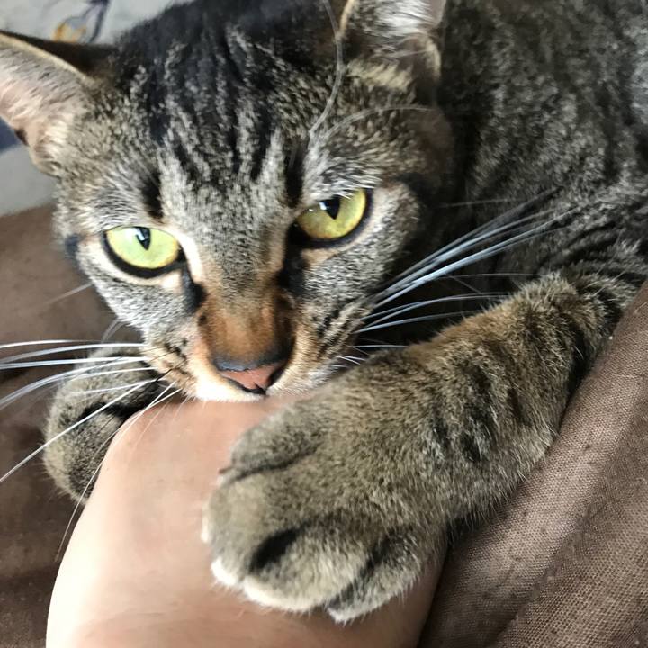 96033b48 ecc5 4443 9eb1 eb61012176b3