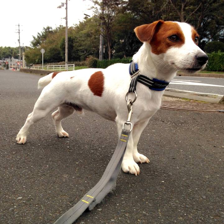 960388de b196 41c8 9b37 4b4185165c1f