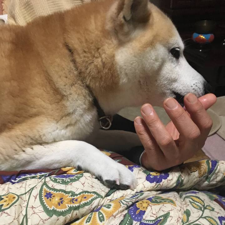 9603eb32 c214 45a7 ad9e 69f2e3d9f41f