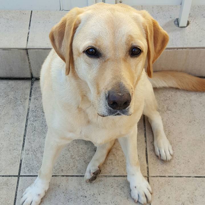 9604915a e4d2 455f 8216 c74c7a868748