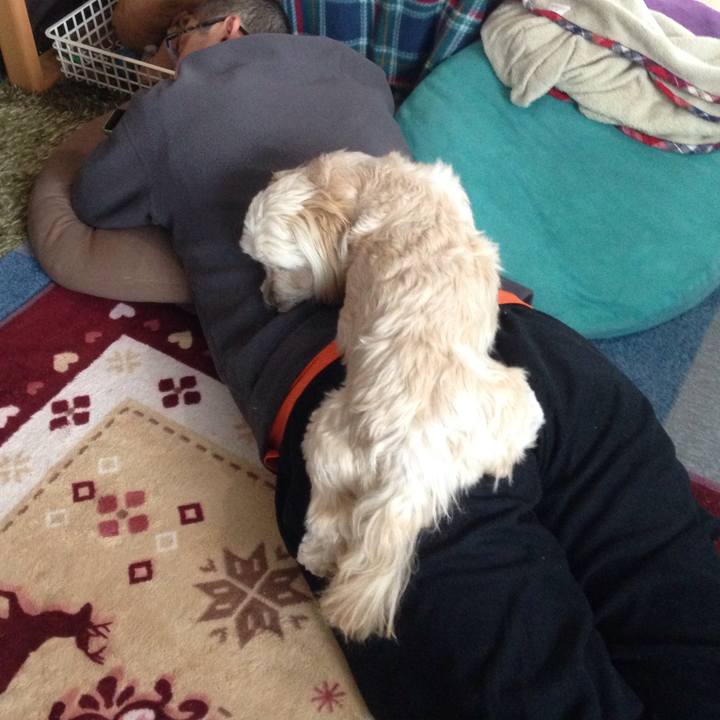 96053e67 bdc1 4e8d a616 e1de4b4e0934