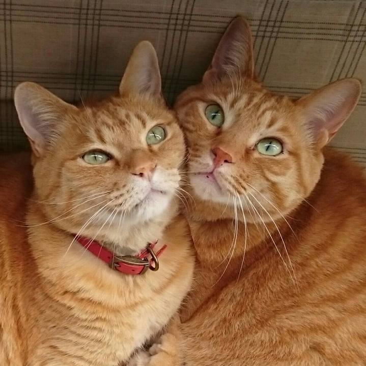 96064671 f0d1 450d 9dcf 7153da10ecaa