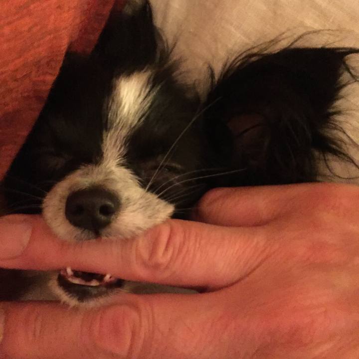 96065592 ecb6 41e5 b698 4388ece77805