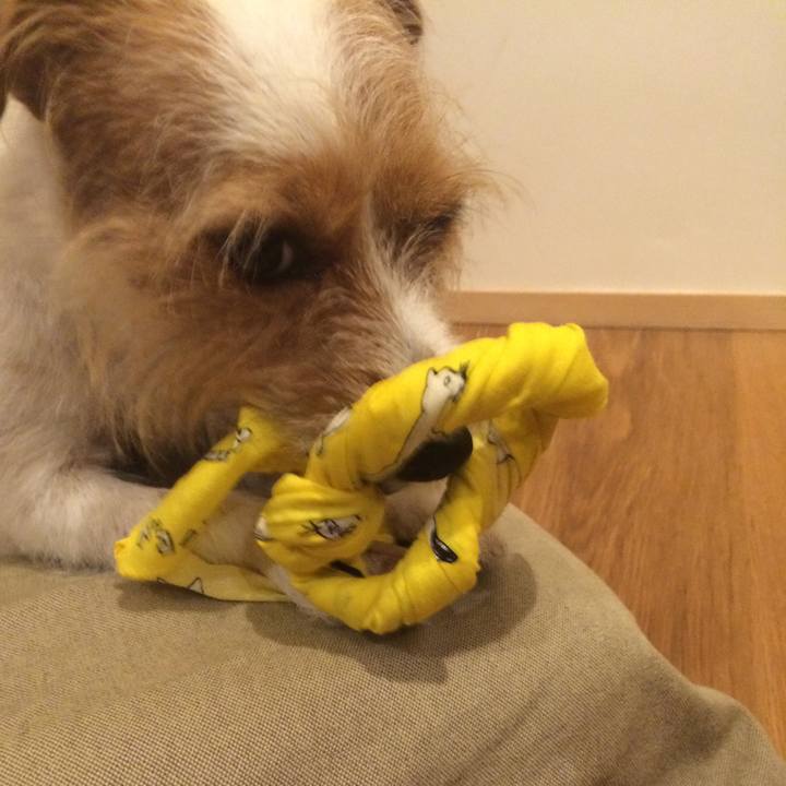 9606f37e 35aa 412a b7f0 6f4e5705cc8e