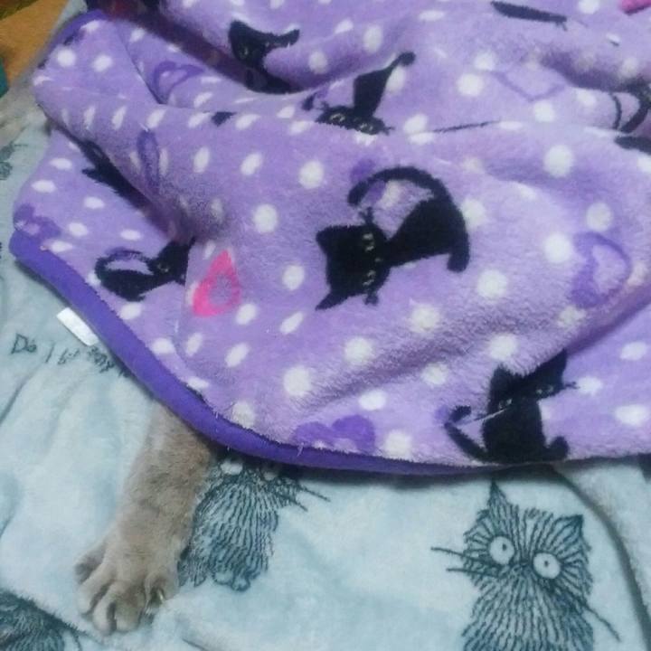 9606fd94 5766 4f11 9dff 4d743cab85f7