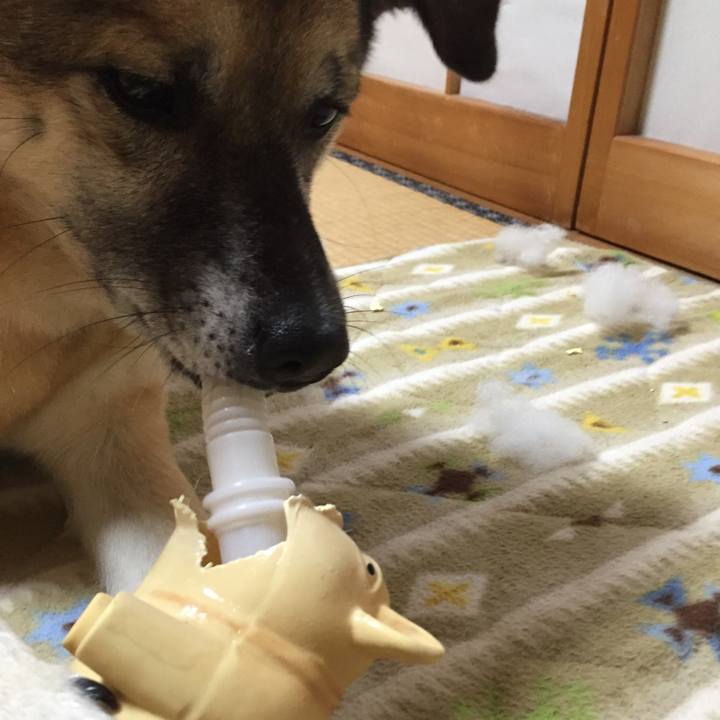 960780e9 38f3 4561 ba95 cd23d7d93adc