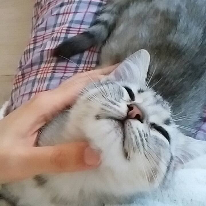 9607c165 b85e 47ed 8b89 730edbf7817a