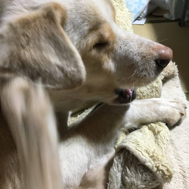 9608c1b9 60d1 4833 a2ac c05308716845