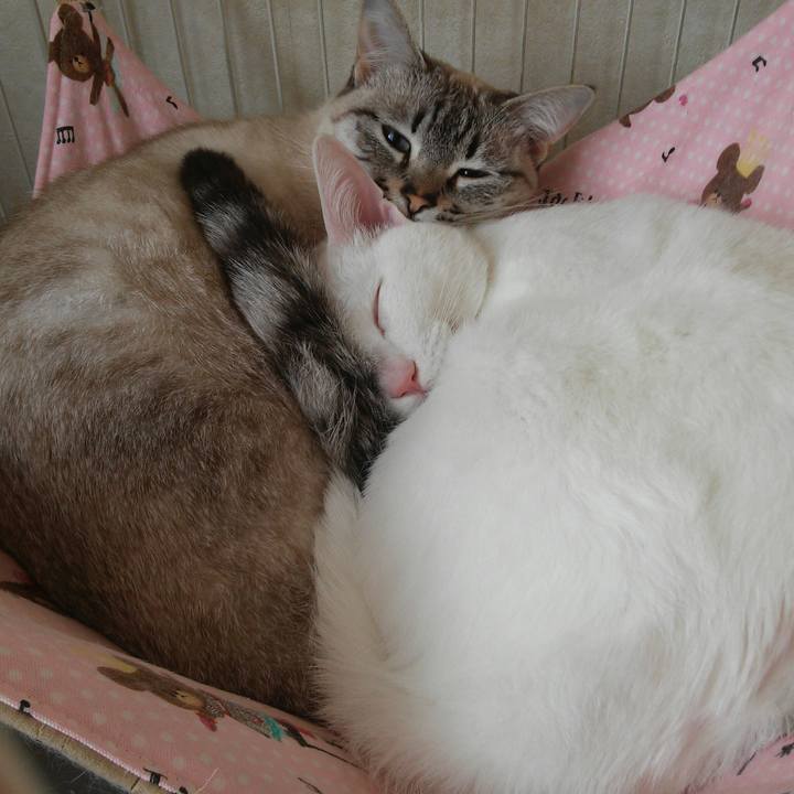 9608cf0d c2c5 4b95 afc4 4cd9dbad31ab