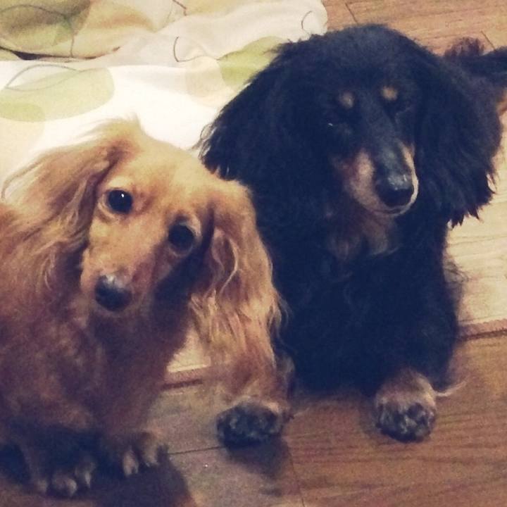 96091c19 81ff 4a6c a061 086d9ce2b4a0