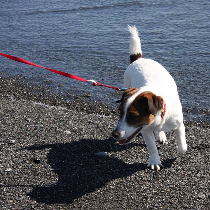 9609e0ea 2e0e 4e27 9696 3e34900a326e